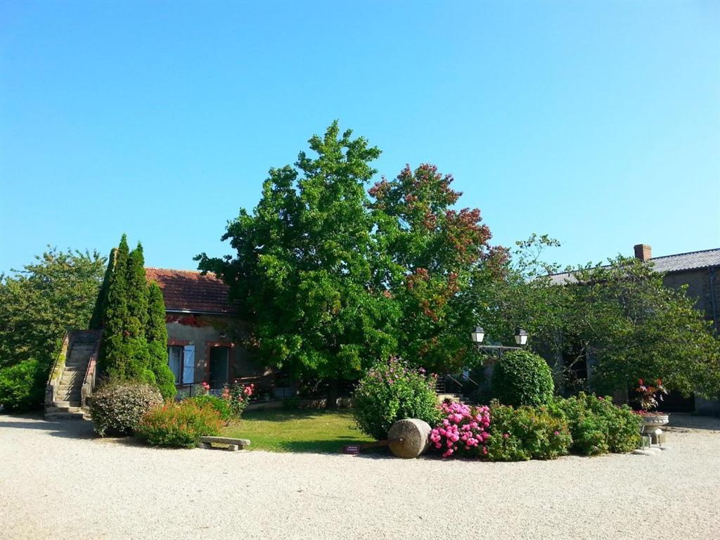 Chateau De La Galissonniere Bed & Breakfast Le Pallet Exterior foto